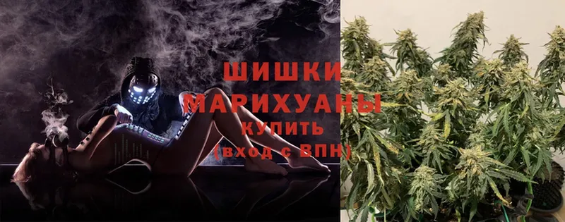 Бошки Шишки OG Kush  Кирс 